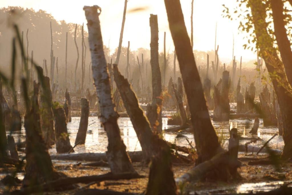 Romantisches Studio Am Waldesrand Mit Gartensauna Schwarz Esterno foto