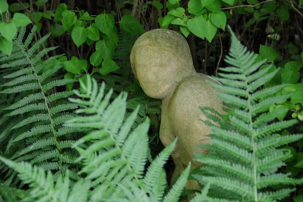 Romantisches Studio Am Waldesrand Mit Gartensauna Schwarz Esterno foto